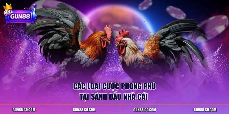 Các loại cược phong phú tại sảnh đấu nhà cái